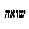 27 gennaio: Giorno della memoria. Il rito del ricordo, la didattica per le nuove generazioni, la memoria della Shoah e la nascita di Israele